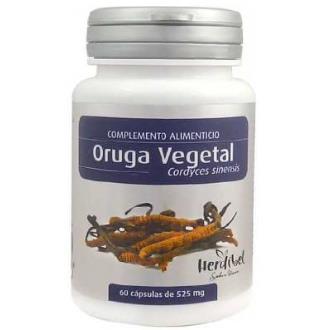 ORUGA VEGETAL (cordyceps sinensis) 60cap.