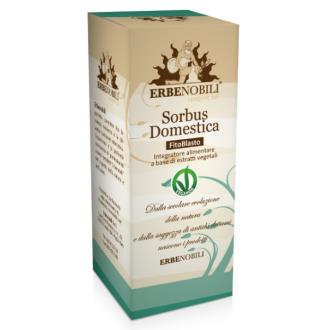 SERBAL COMUM gema macerado glicerinado 50ml