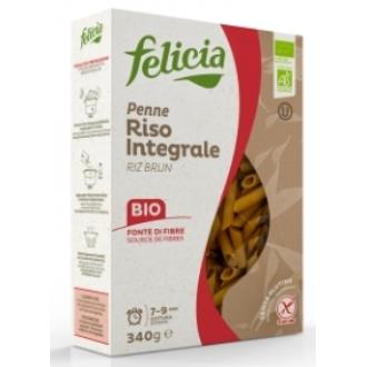 PENNE RIGATE DE ARROZ integral 340gr. BIO SG