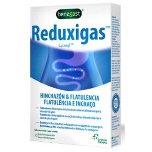 REDUXIGAS 20comp.mast.