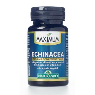 MAXIMUM ECHINACEA 40cap.