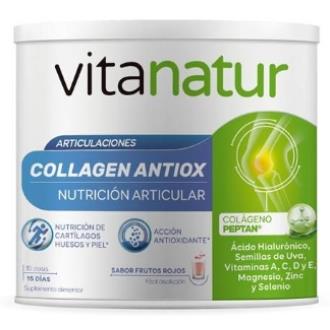 VITANATUR COLLAGEN ANTIOX 180gr.