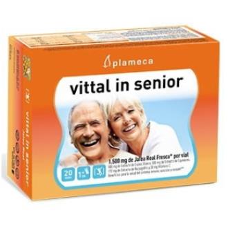 VITAL IN SENIOR geleia real 20amp