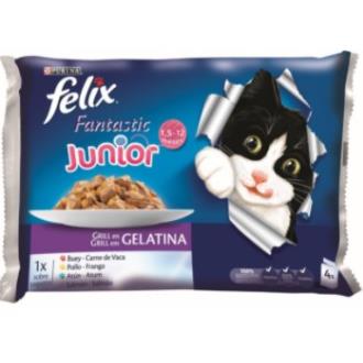 FELIX FANTASTIC FELINE JUNIOR GELATINA 10x100gr.