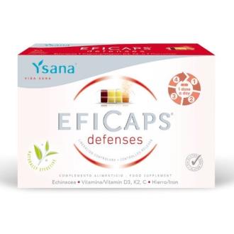 VITALYNK EFICAPS DEFENSAS 30cap.