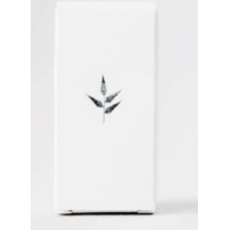 SILVER TOUCH desodorizante solido sensivel 65gr. ECO