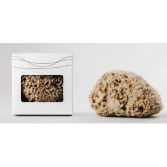 MAR MEDITERRANEO esponja natural corporal 1ud.