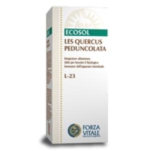 LES QUERCUS PEDUNCULATA encina 50ml.