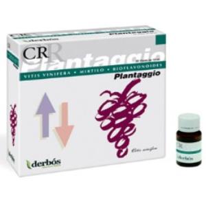 PLANTAGGIO CR 20amp.
