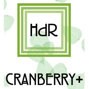 CRANBERRY + (arandano rojo) 60cap.
