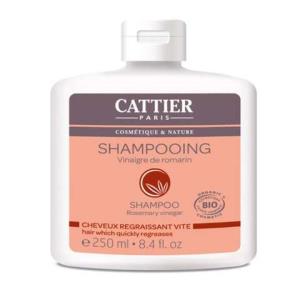 CHAMPÔ CABELOS OLEOSOS vinagre de alecrim 250ml.