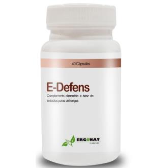 E-DEFENS 40cao.