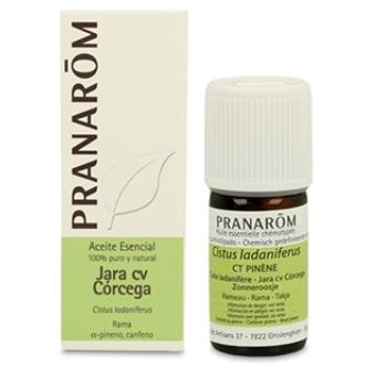 JARA CORCEGA óleo essencial BIO 5ml.