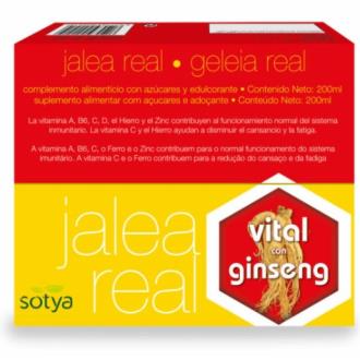 GELEIA REAL VITAL ginseng 20amp.