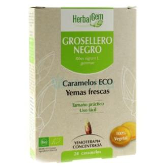 GROSELLERO NEGRO 24caramelos