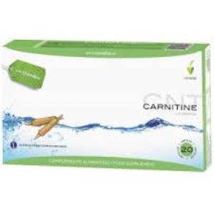 L-CARNITINA 20amp.