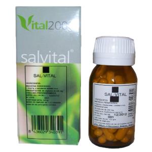 SALVITAL Nº2 CS calcarea sulphurica 50cap.