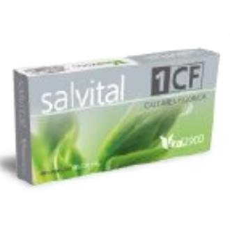 SALVITAL Nº1 CF calcarea fluorica 40cap.
