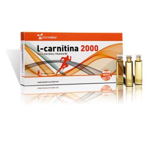 L-CARNITINA 20amp.