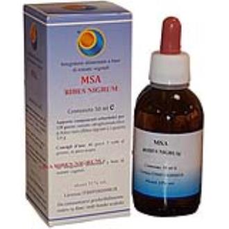 MSA RIBES NIGRUM gemas groselha preta 50ml.