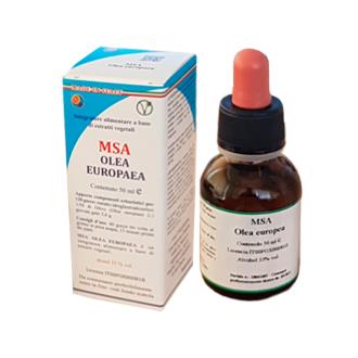 MSA OLEA  EUROPAEA brotos jovens 50ml.