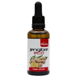 EXT. GENGIBRE ECO 50ml.