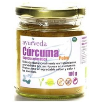 CURCUMA polvo 100gr. BIO