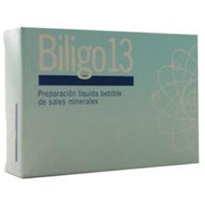 BILIGO 13 (Aluminio) 20amp