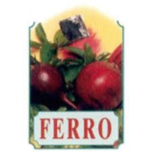 XER22 FERRO xarope 250ml