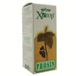 PRO16 PROSIN xarope 250ml