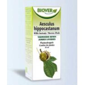 EXT. AESCULUS HIPPOCASTANUM (castanha) 50ml.
