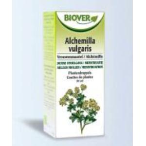 EXT. ALCHEMILLA VULGARIS (alchemilla) 50ml.