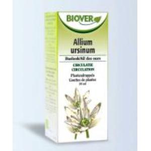 EXT. ALLIUM URSINUM (alho silvestre) 50ml.
