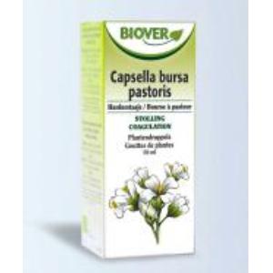EXT.CAPSELLA BURSA PASTORIS (bolsa de pastor) 50ml