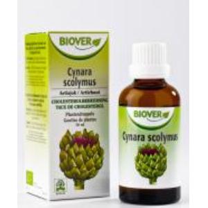 EXT. CYNARA SCOLYMUS (alcachofra) 50ml.