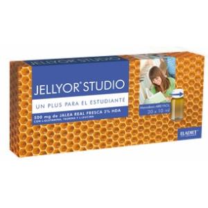 JELLYOR STUDIO J.REAL 20amp