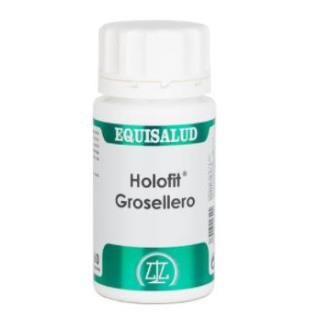 HOLOFIT GROSELHA 60cap.