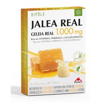 BIPOLE J.REAL FRUCTOS.1000mg 20amp