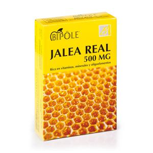 BIPOLE J.REAL FRUCTOSA 500mg 20amp