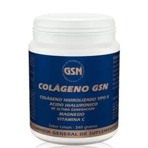 COLAGENO GSN com acido hialuronico laranja 340gr.