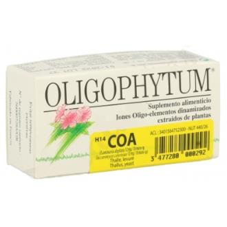 OLIGOPHYTUM H14 COA COBRE OURO PRATA 100g