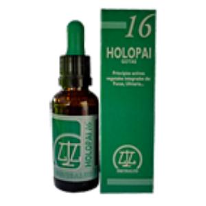 PAI-16 HOLOPAI (TERRENO OBESIDADE)