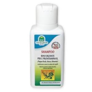 CHAMPÔ PBX ANTI QUEDA 250ml.