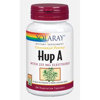 HUPERZINE A (HUP A) 50mcg. 60cap.